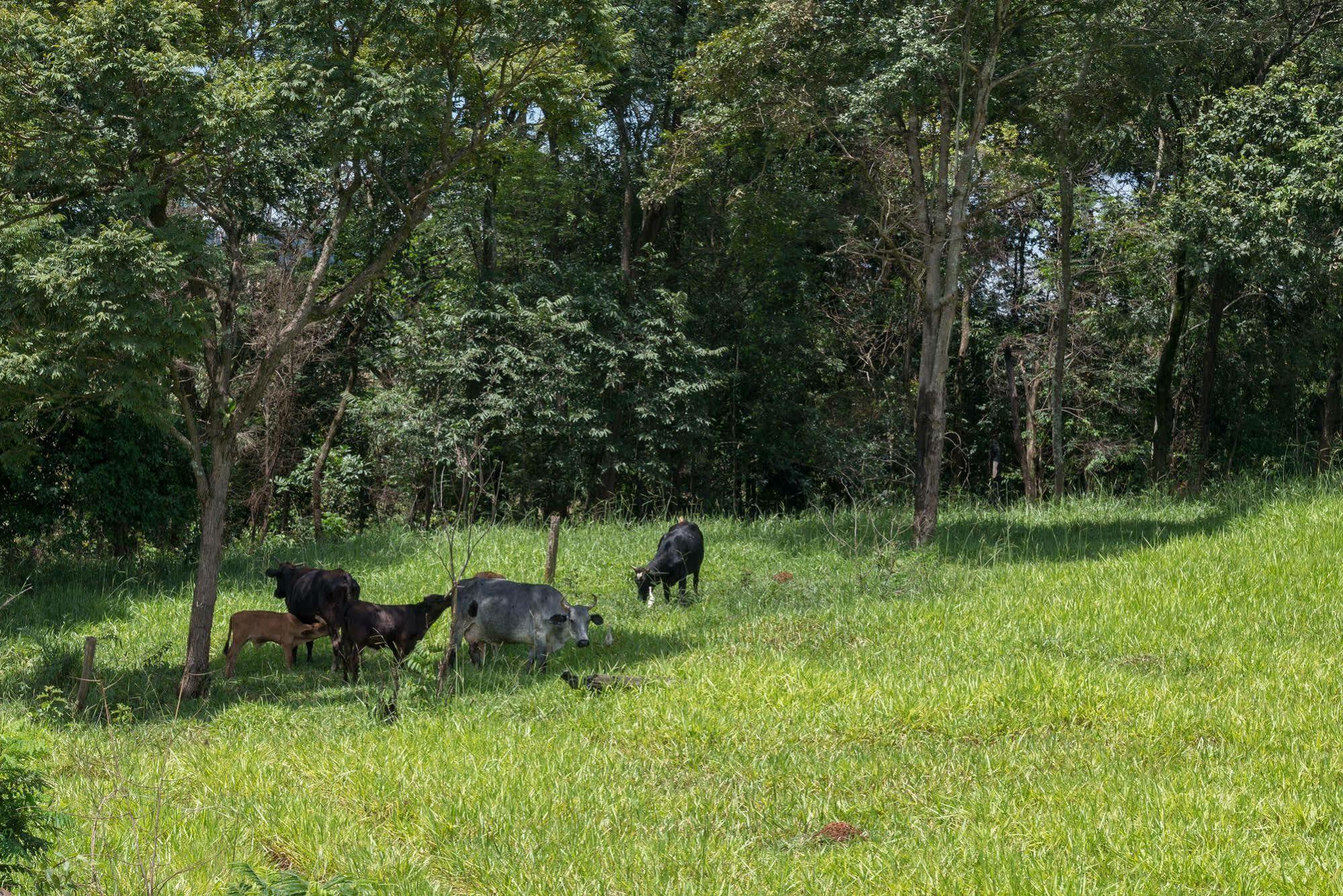 Estancia Das Angolas - Inhotim Brumadinho Luaran gambar